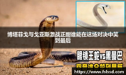 博塔菲戈与戈亚斯激战正酣谁能在这场对决中笑到最后